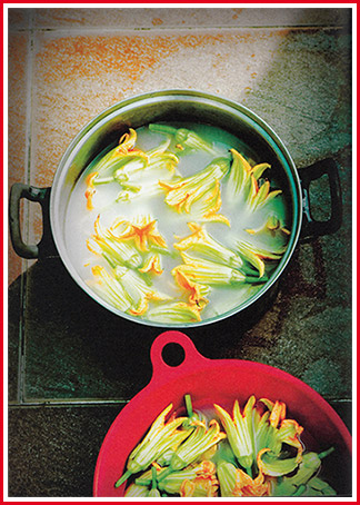 Fleurs-de-courgettes-farcies-en-beignets