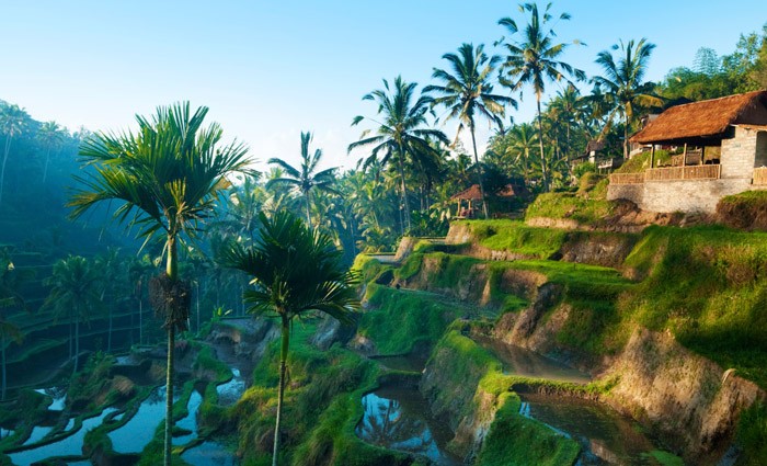 Bali fait partie des îles les plus visitées par les Français.