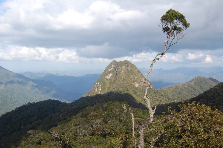 Massifs montagneux du Parc National de Marojejy, région SAVA ©Paul Edwardo Jaomazava – Tous droits réservés