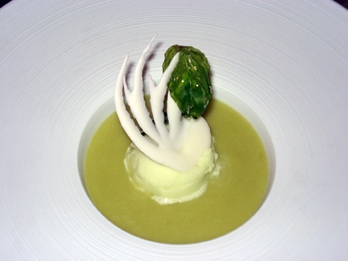 Soupe-d-avocat-au-citron-vert-et-basilic-sorbet-pomme-verte-a-l-huile-d-argan