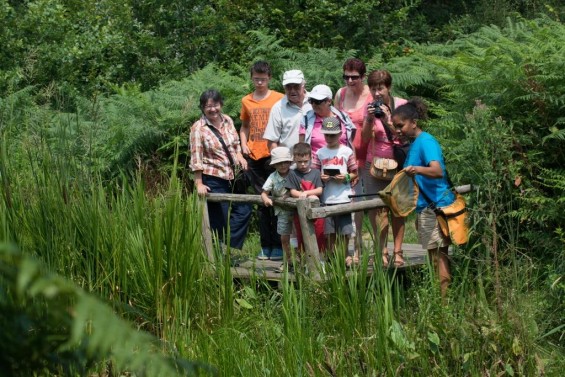 Encourager la découverte de la biodiversité dans le cadre de sortie touristique, voilà l’un des objectifs du programme Biorismo.