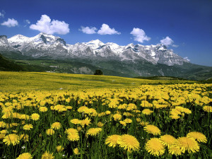 Paysage de montagne protégé à Saint Etienne en Dévoluy (France)