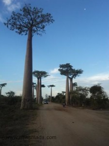 Morondava