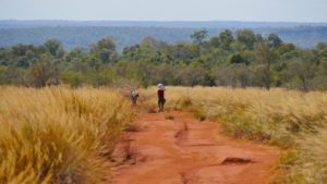 Eco tourisme mada