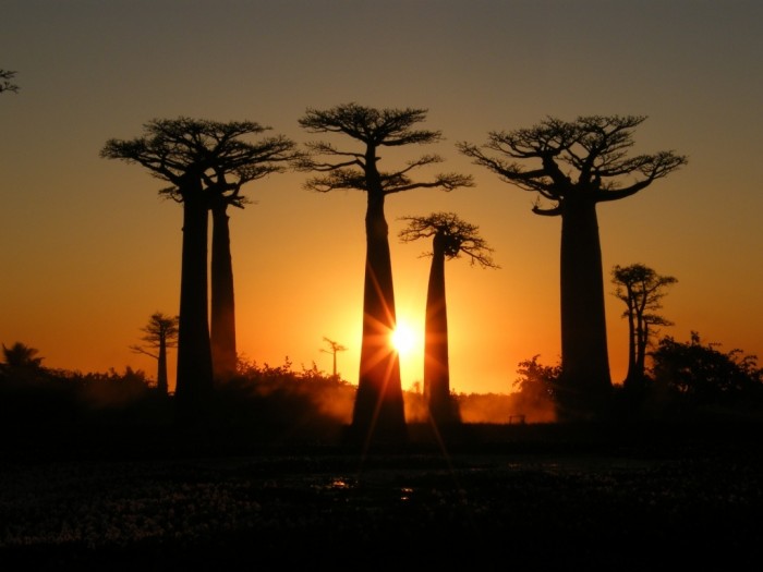 You are currently viewing Les grandes enseignes hôtelières se bousculent aux portes de Madagascar