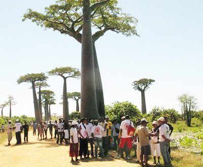 You are currently viewing Madagascar : un soutien financier de la Banque mondiale pour le tourisme