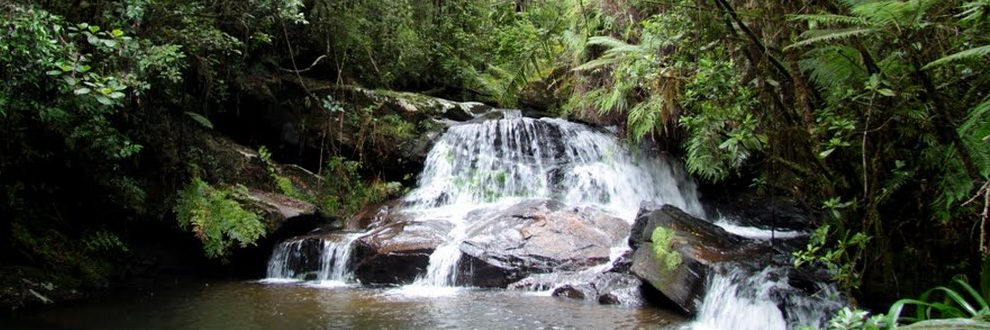 Lire la suite à propos de l’article Madagascar – Ecotourisme: le Parc National Mantadia inaccessible provisoirement