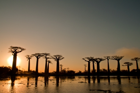 You are currently viewing Le Top 5 des meilleurs endroits pour prendre des photos à Madagascar
