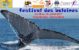 Madagascar – Festival des Baleines: du 8 au 16 juillet 2017 à Sainte-Marie