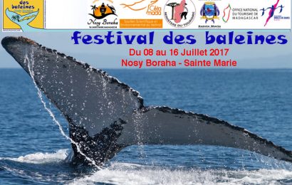 Lire la suite à propos de l’article Madagascar – Festival des Baleines: du 8 au 16 juillet 2017 à Sainte-Marie