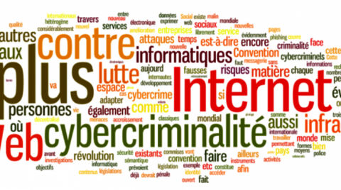 You are currently viewing 12 conseils pour limiter les risques liés à la cybercriminalité dans votre établissement