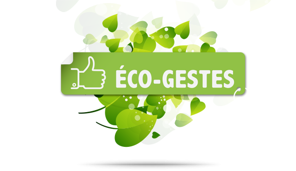 You are currently viewing LES ECO-GESTES EN HOTELLERIE
