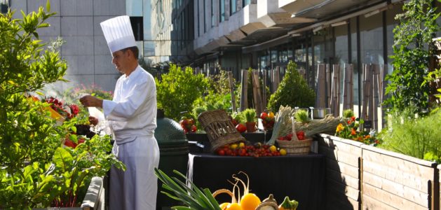 Lire la suite à propos de l’article France : Développement durable : pourquoi ruches et potagers ont la cote