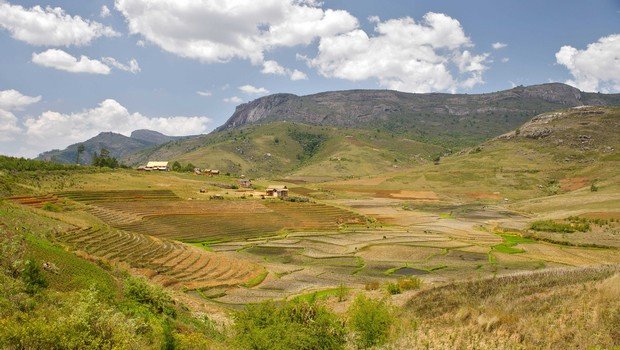 You are currently viewing Madagascar : le parc national d’Andringitra en proie aux flammes