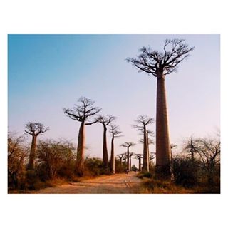 You are currently viewing Le tourisme a triplé dans cette région de Madagascar. Et c’est peut-être grâce à Instagram