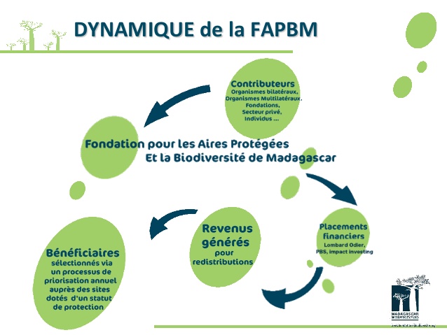 Lire la suite à propos de l’article Madagascar – conservation: la FAPBM financera 31 aires protégées en 2018