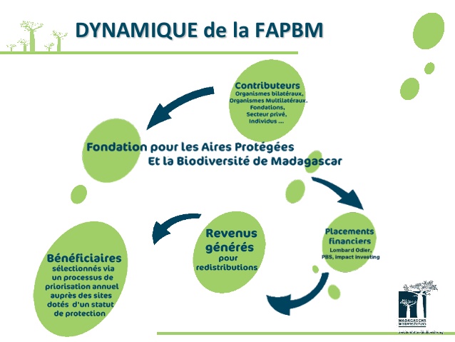 You are currently viewing Madagascar – conservation: la FAPBM financera 31 aires protégées en 2018