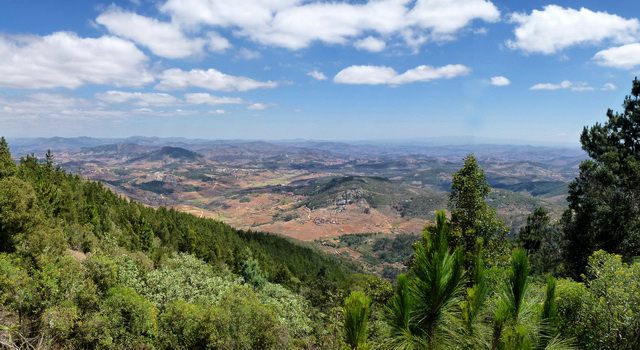 You are currently viewing Madagascar célèbre son patrimoine forestier