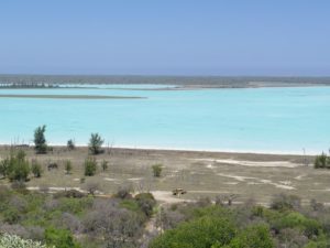 Lire la suite à propos de l’article Madagascar : Zones humides : un nouveau circuit pour découvrir Tsimanampetsotse