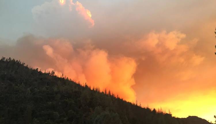 You are currently viewing Californie : un incendie menace le parc de Yosemite