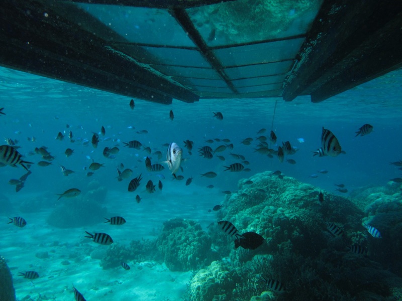 Lire la suite à propos de l’article Tourisme : Un bateau en fond de verre à Nosy-Be