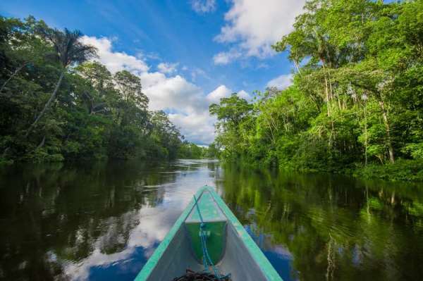 Lire la suite à propos de l’article CBD COP 14 : Appel pour un nouveau pacte pour la nature