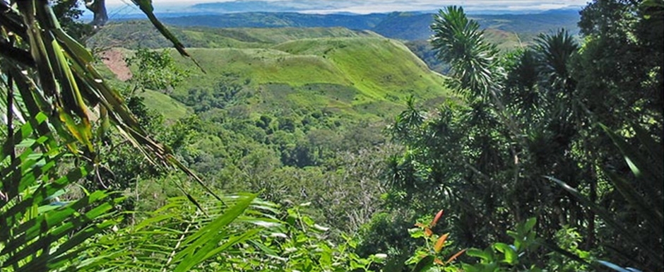 You are currently viewing Montagne d’Ambre