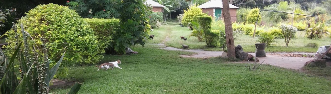 You are currently viewing 7 Écologes de Madagascar participent au concours “Mon village coup de cœur 2018”