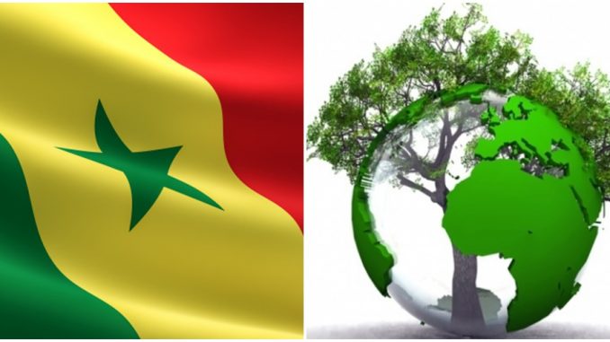 Lire la suite à propos de l’article Le Sénégal s’oriente de plus en plus vers le tourisme durable.