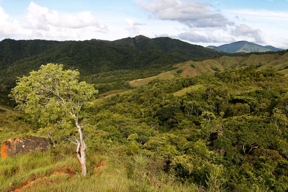 You are currently viewing Aire protégée de Loky Manambato : La biodiversité du Nord-Est se découvre