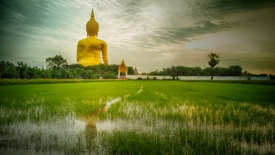 Lire la suite à propos de l’article La Thaïlande sans les touristes !