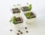 Panna cotta au café