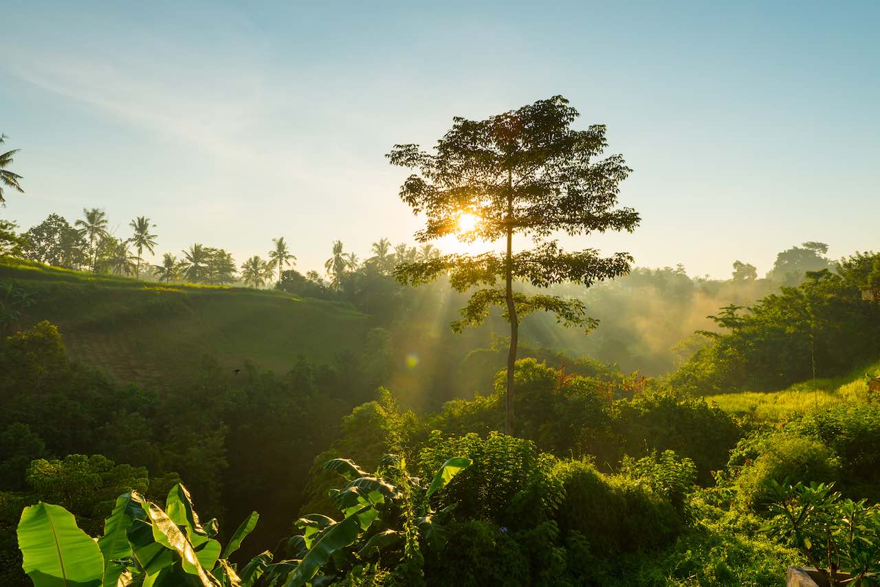 Lire la suite à propos de l’article La préservation de la biodiversité est une opportunité de restructurer le tourisme