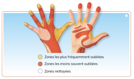 You are currently viewing Hygiène en fiche pratique : le lavage des mains