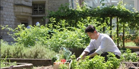 Lire la suite à propos de l’article France. Institut Paul Bocuse : Etudier et vivre sur un campus éco-responsable