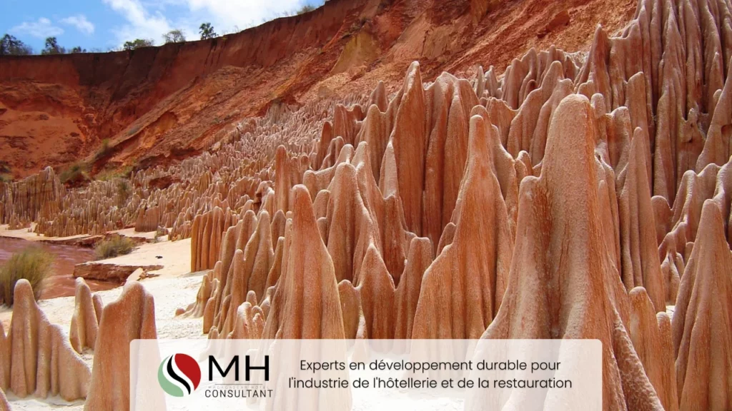 Madagascar conseil tourisme et hôtellerie