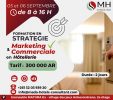 Stratégie Marketing et Commerciale en Hôtellerie