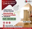 Stratégie Marketing et Commerciale en Hôtellerie Stratégie Marketing et Commerciale en Hôtellerie