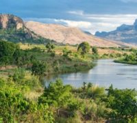 Madagascar-foret